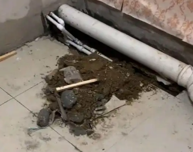 西乡卫生间漏水检测哪家好